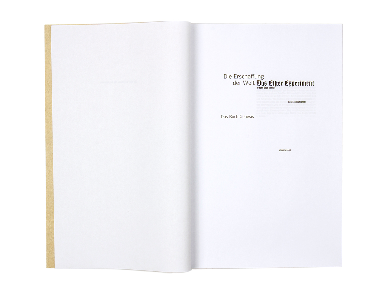 Das Elster Experiment E-book Buchgestaltung editorial design Typographie
